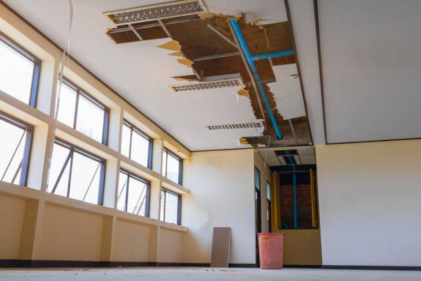 Best Ceiling water damage repair  in Tenino, WA