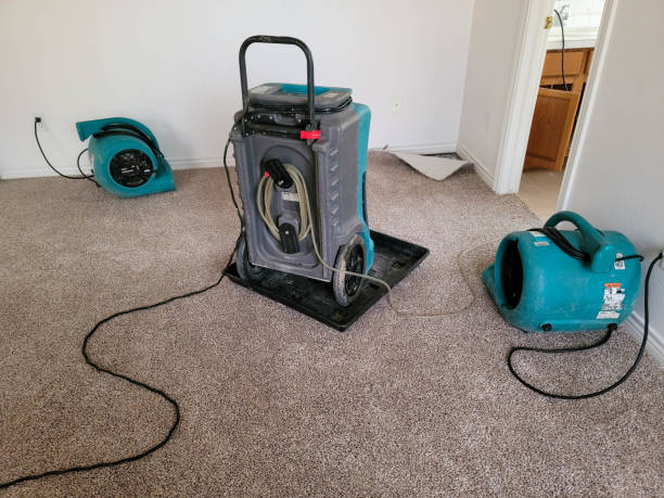 Best Local water damage restoration  in Tenino, WA
