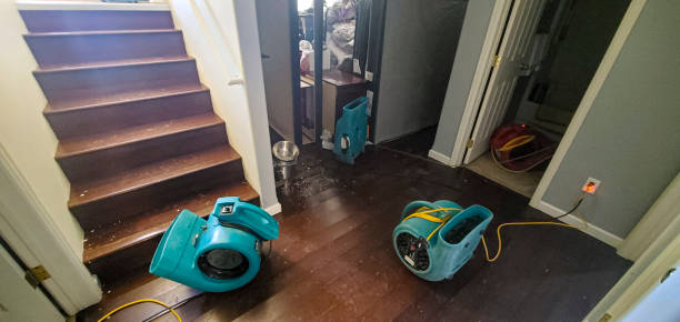 Best 24-hour water damage restoration  in Tenino, WA