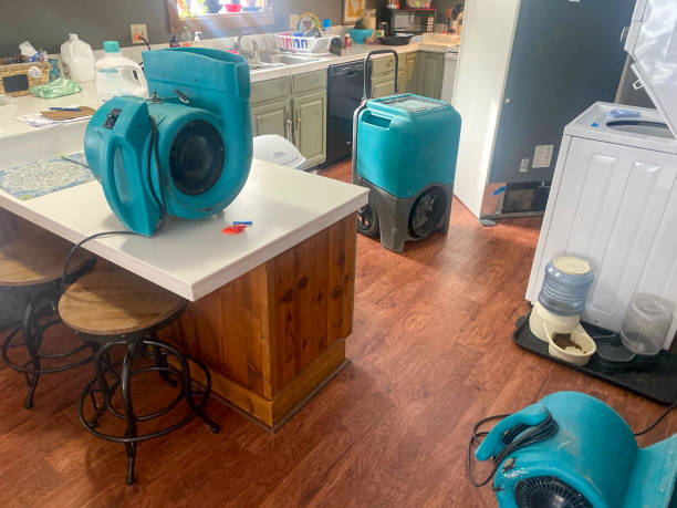 Best 24-hour water damage restoration  in Tenino, WA