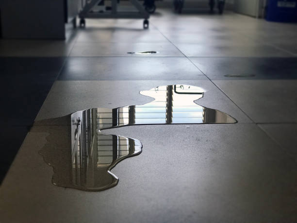 Best Emergency water damage restoration  in Tenino, WA