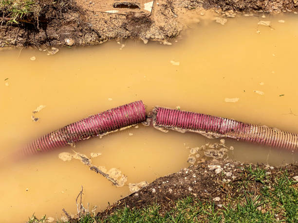 Best 24/7 water damage repair  in Tenino, WA