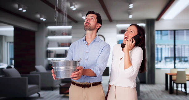 Best Water damage restoration services  in Tenino, WA